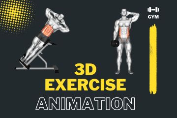 3D Fitness Exercise Animations