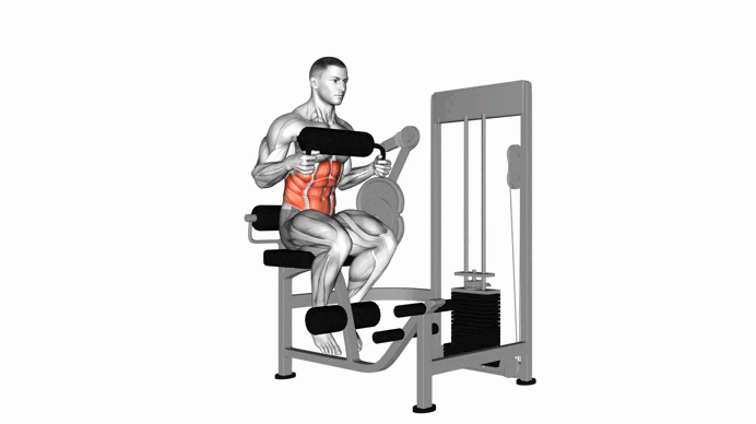 Lever Seated Crunch