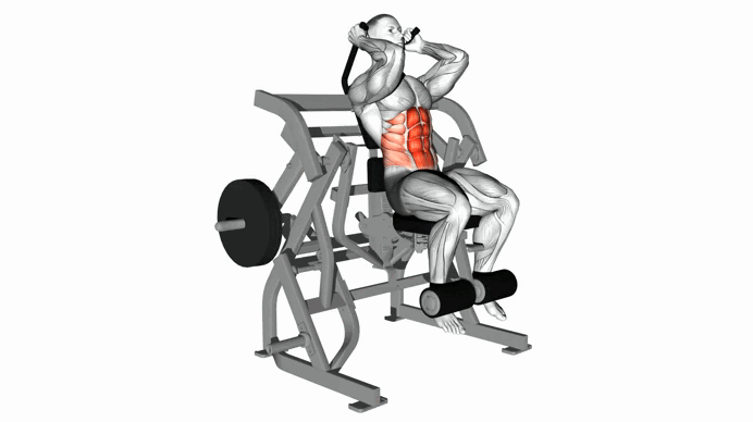 Lever Seated Leg Raise Crunch