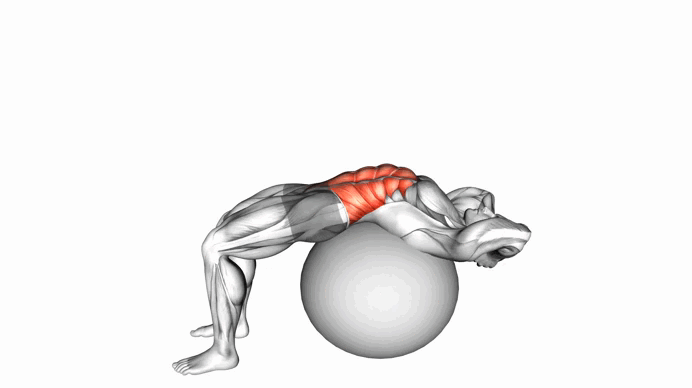 Sit-up On Exercise Ball