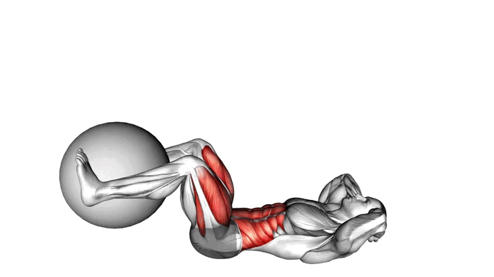 Weighted Leg Extension Crunch